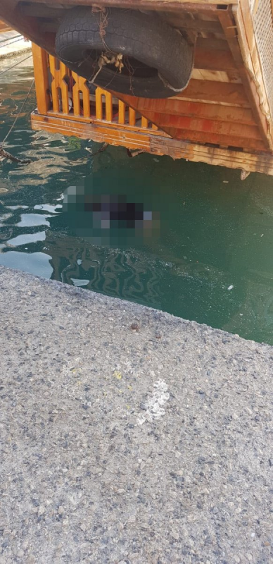 Mersin'de 2 tekne arasında ceset bulundu